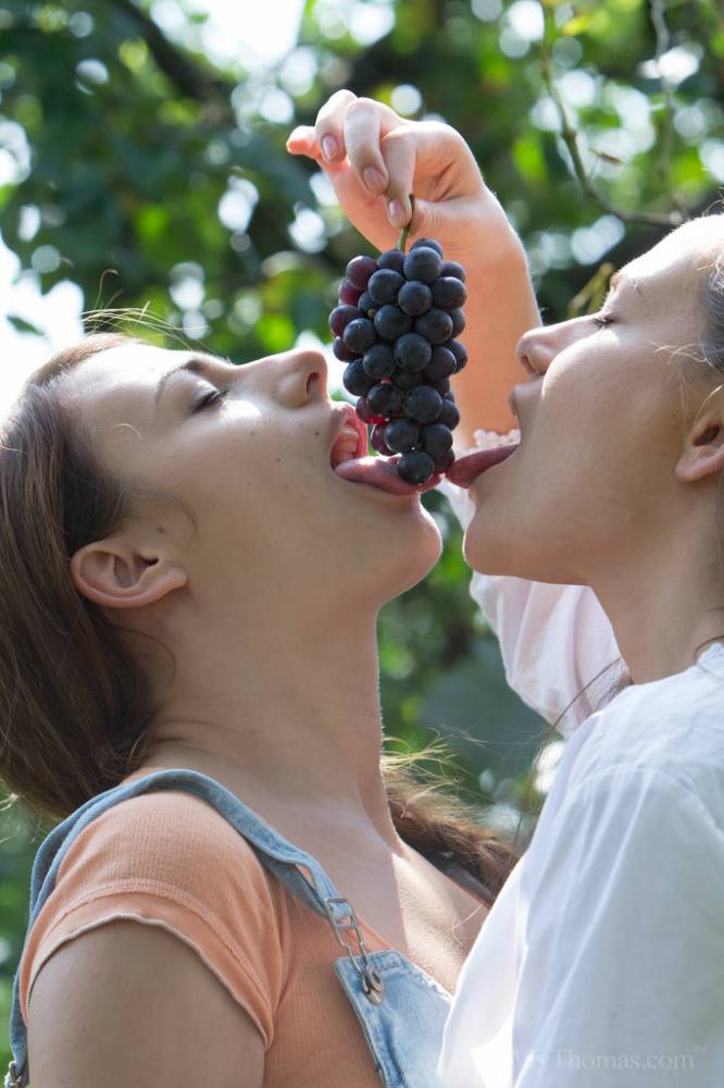 Horny girls Hanna Sweet & Subil Arch have lesbian sex while picking grapes - #4