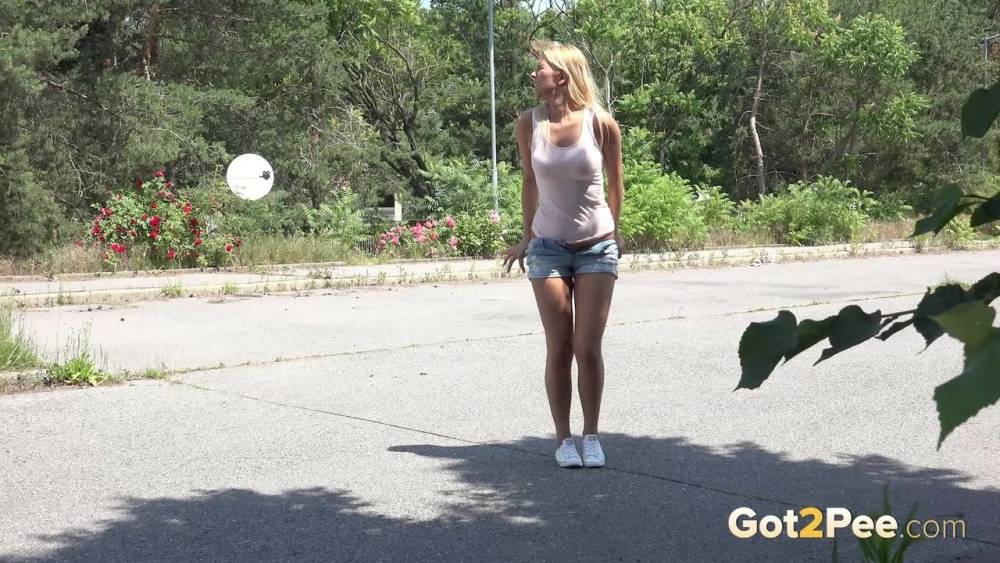 Blonde female Nikki Dream can't hold her pee any longer and squats on roadway | Photo: 865839