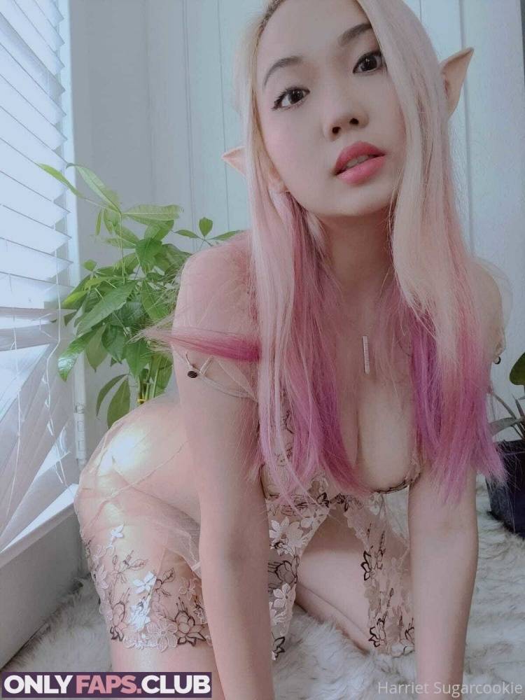 Harriet Sugarcookie OnlyFans Leaks (90 Photos) - #1