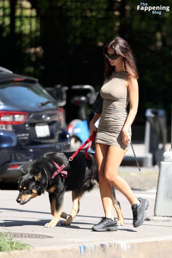 Emily Ratajkowski Looks Hot in a Mini Dress While Walking Her Dog in NYC (32 Photos) - #24