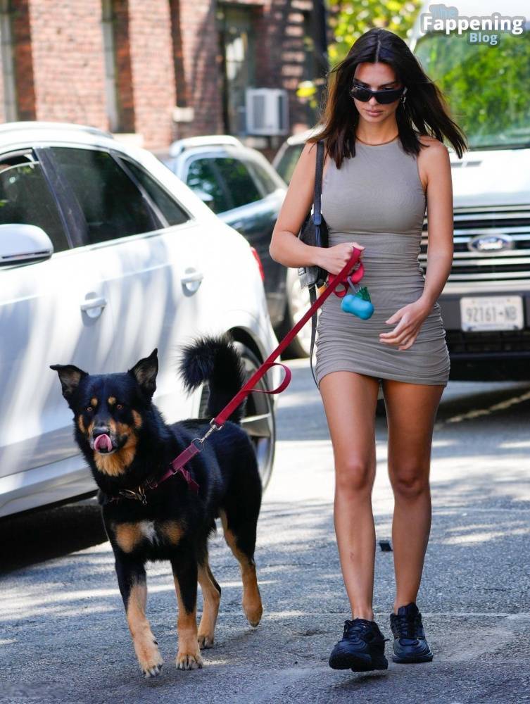 Emily Ratajkowski Looks Hot in a Mini Dress While Walking Her Dog in NYC (32 Photos) - #3