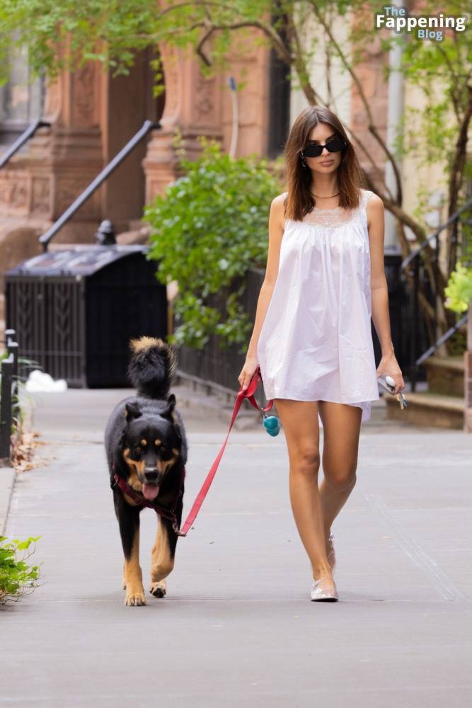 Emily Ratajkowski Stuns in White as She Takes Her Dog Out for a Fart Walk (16 Photos) - #5