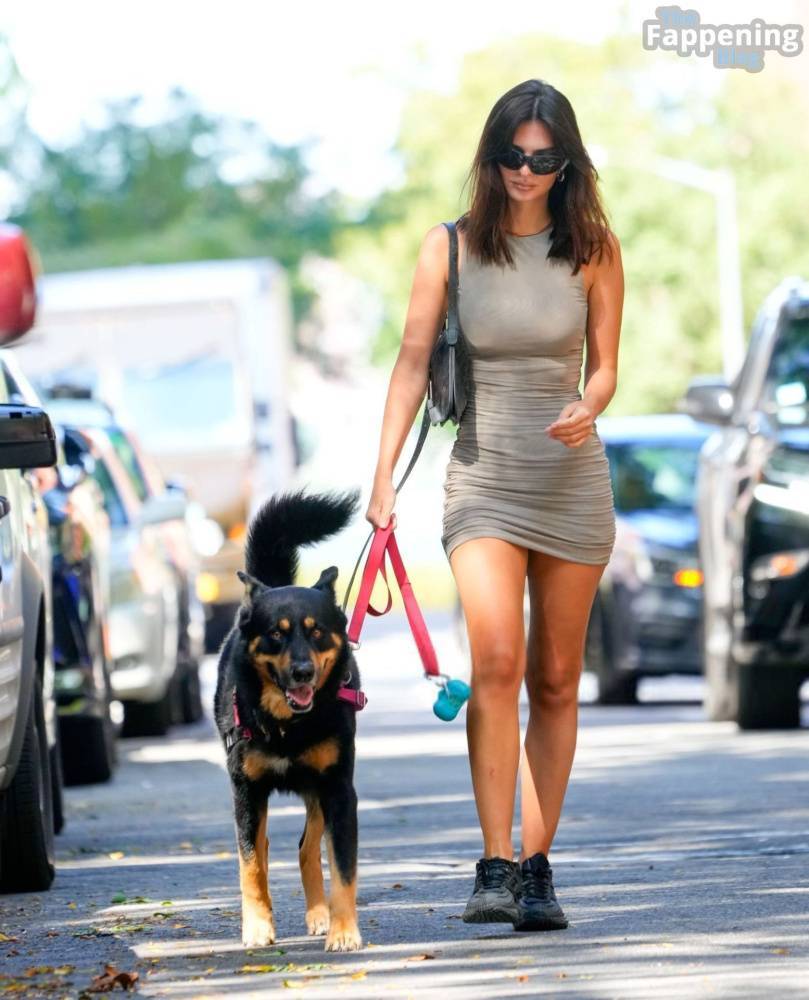 Emily Ratajkowski Looks Hot in a Mini Dress While Walking Her Dog in NYC (32 Photos) - #main