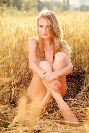 Young blonde beauty Frida C models naked while in a field of wheat on realgirlsweb.com